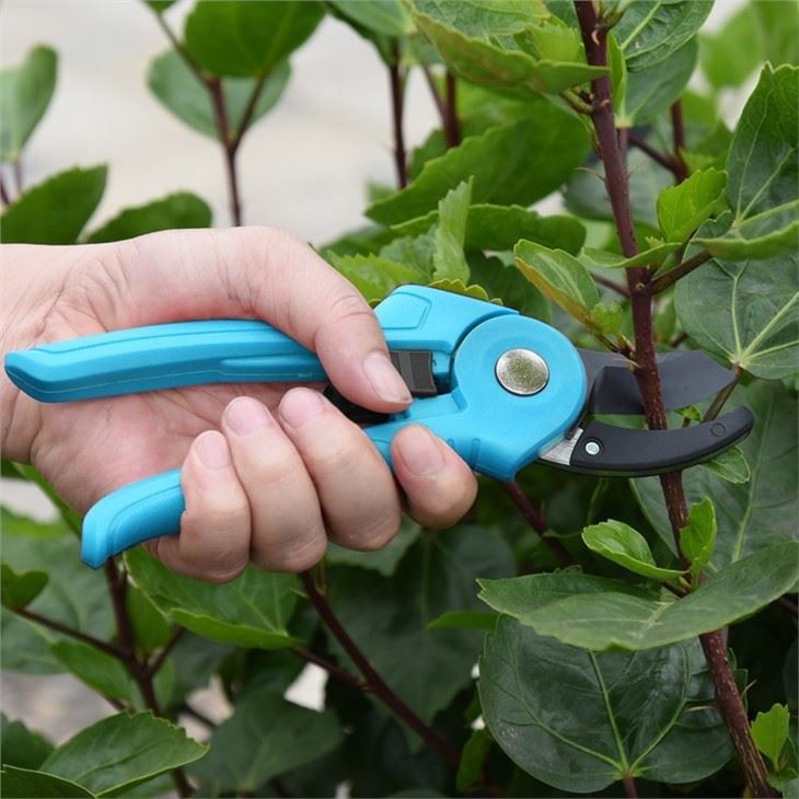 Carbon Steel Garden Pruners