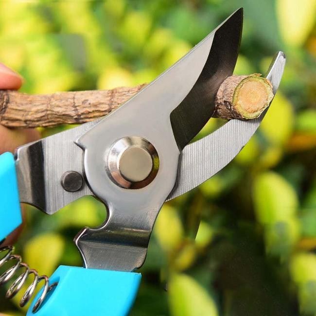 Garden Shears Small