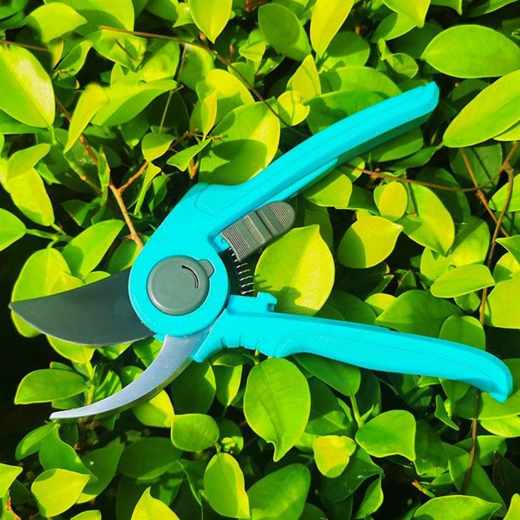 blue bypass shears
