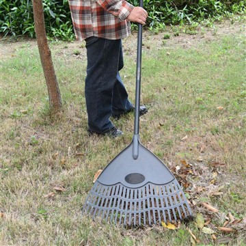 Jak dbamy o Vinca w sezonie zimowym?