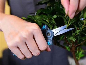 Dlaczego wprowadziliśmy nowe i większe nożyczki