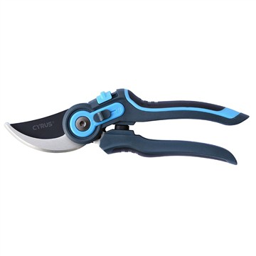 Ewolucyjna historia Bypass Pruner