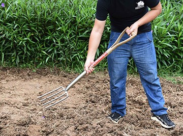 Krótkie wprowadzenie do rosyjskiej kultury ogrodowej