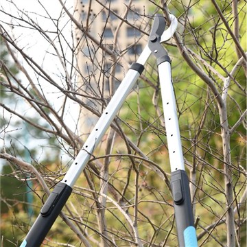 Przycinanie i przycinanie: opieka nad moją rodziną