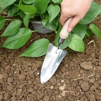 Dziennik sadzenia ogrodu -1