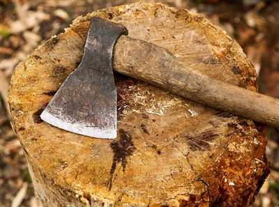 Narzędzia do wycinania drzew i sprzęt ochronny