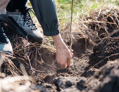 Zabawne kroki, aby przekopać się przez korzenie