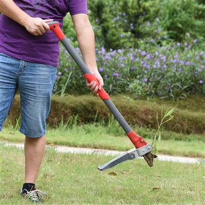 Wstań w Weeder za bez wysiłku pielenia