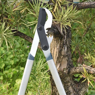 Najlepszym narzędziem do przycinania gałęzi są nożyce obejściowe