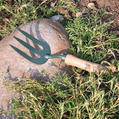 Codzienne przygody narzędzi ogrodniczych