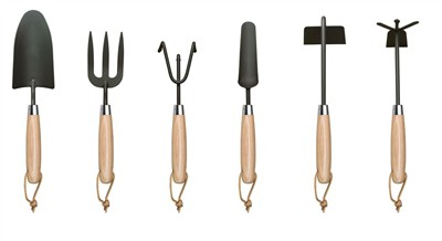 Sadzenie pomidorów w domu