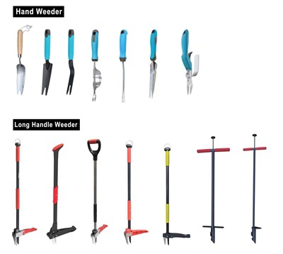 Uprawa zieleni: dbanie o zrównoważony rozwój w swoim ogrodzie